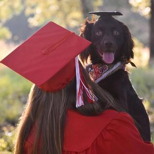 Meet your Posher, Deedee